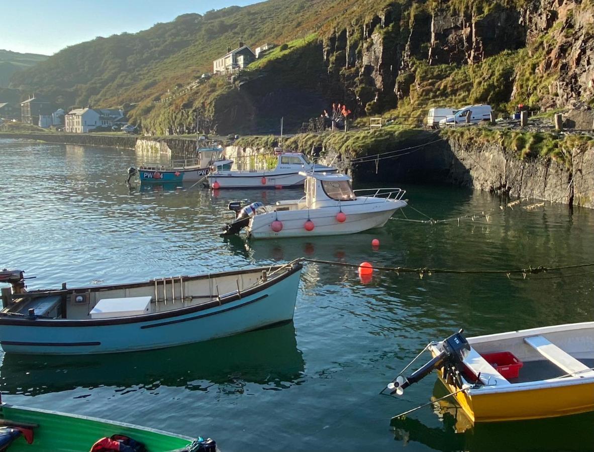Polrunny Farm Sloe Cottage With A Sea View Boscastle Kültér fotó