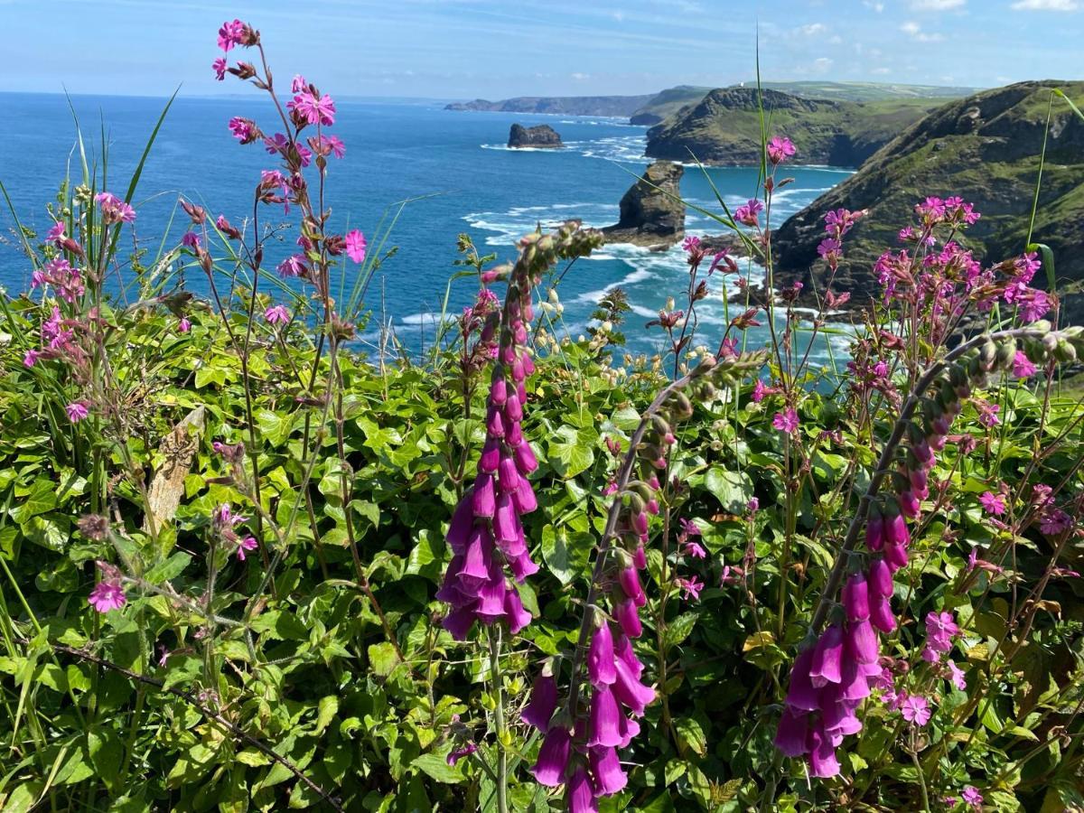 Polrunny Farm Sloe Cottage With A Sea View Boscastle Kültér fotó
