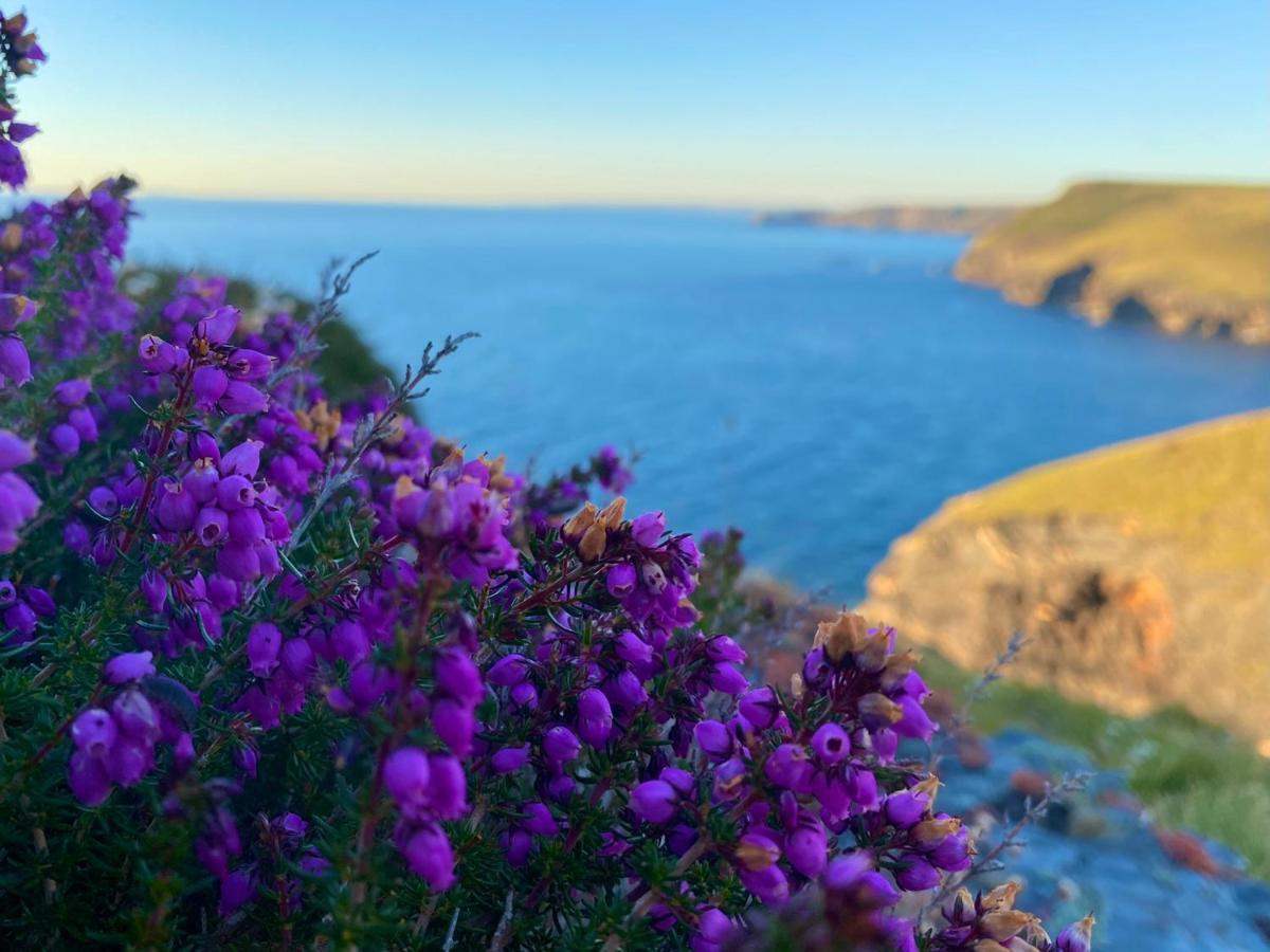 Polrunny Farm Sloe Cottage With A Sea View Boscastle Kültér fotó